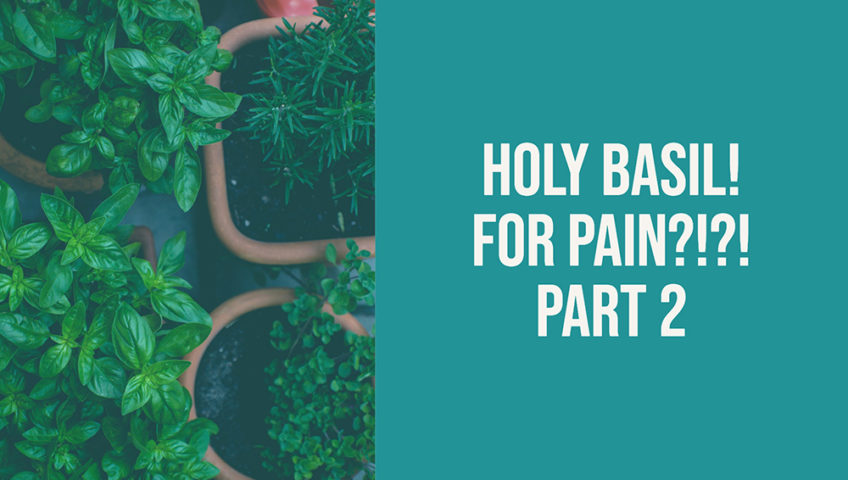 , HOLY… Basil? Can Holy Basil Supplementation Help Regulate Cortisol and Reduce Anxiety? Part 2, Premier Health Care